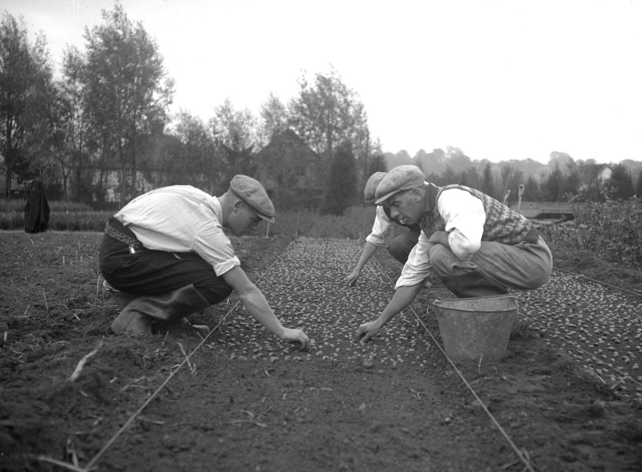 men planting seeds in a seed bed